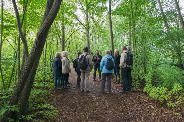 Bosbadgidsen cursussen en begeleiding